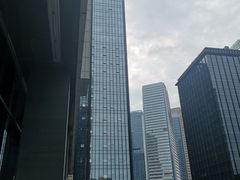 -重庆市江北嘴中央商务区中央公园