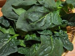 -巴奴毛肚火锅(龙湖锦艺城店)