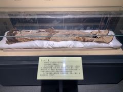 -巴音郭楞蒙古自治州博物馆