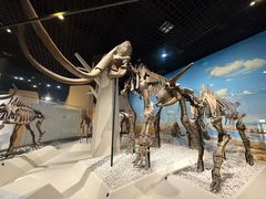 -国家自然博物馆