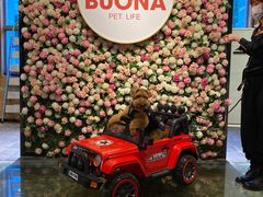 -百好乐宠物友好餐厅(朝外大街店)