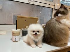 -灯塔咖啡馆BOOK·Coffee Shop