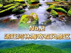 -五营国家森林公园