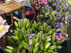 -华农酸奶(五山直营店)