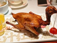 -大鸽饭(岗顶店)