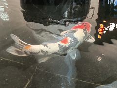 -唐山河头老街国丰维景国际大酒店