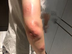 -杭州花家山庄