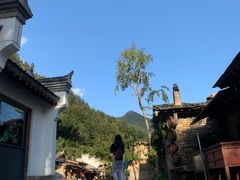 -牛背梁国家森林公园