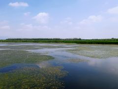 -野鸭湖国家湿地公园