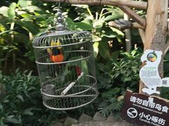 -南宫五洲植物乐园