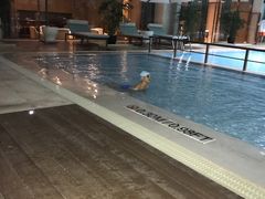 -上海嘉定喜来登酒店
