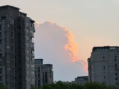 -新江湾城公园