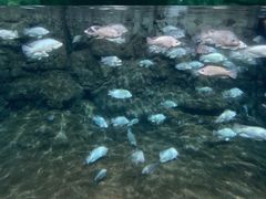 -杭州长乔极地海洋公园