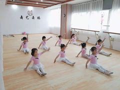 -舞艺舞蹈文化艺术培训中心