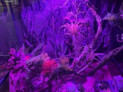 -夜幕浸入式超级密室(望京店)