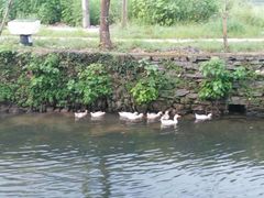 -婺源梦里老家大型山水实景演出