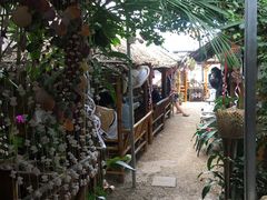 -Jungle Kitchen