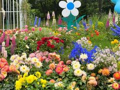 -上海共青森林公园