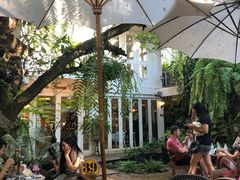 -Fern Forest Cafe