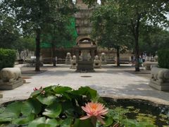 -北京石刻艺术博物馆(五塔寺)