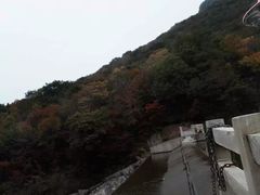 -龙道沟景区