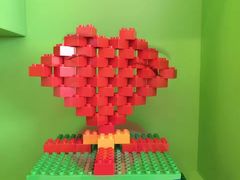 -卡巴机器人编程·少儿编程·信息学竞赛(公益西桥校区)