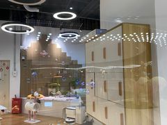 -COLOR PETS 撸猫馆·购猫·猫咖(长风大悦城店)