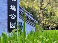 -北坞公园