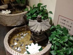 -茶花妹子云南餐厅(传媒大学店)