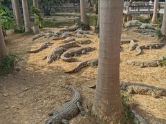 -南宁市动物园