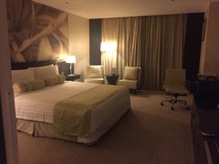 -国家会议中心大酒店