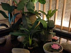 -和子足浴SPA会馆(梁溪店)