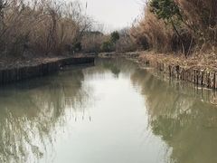 -沙家浜风景区
