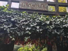 -云南民族村