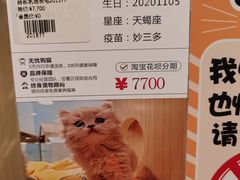 -屋虎猫馆(宝安大仟里店)