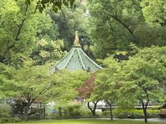 -申粤轩酒楼·三十年粤菜经典(丁香花园店)