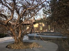 -金石唐风国际温泉会馆