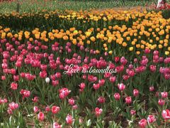 -长春公园(普阳街道)