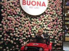 -百好乐宠物友好餐厅(朝外大街店)