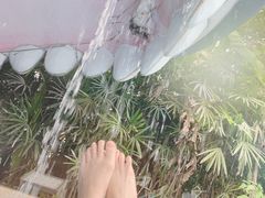 -重庆海昌加勒比海水世界