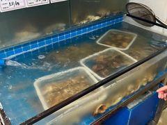 -锅老头铁锅炖•大锅蒸汽海鲜(韩乐坊店)
