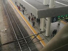 -瑞幸咖啡(天安数码城店)