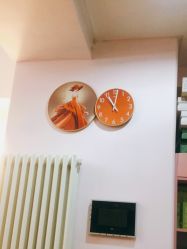 -苗塑堂减肥艾灸