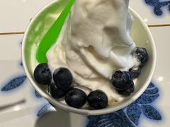 -Salud撒露欧洲冻酸奶(北苑上品店)