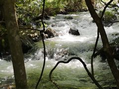 -广州市石门国家森林公园