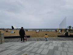 -碧海金沙