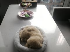 -鲸渝眼镜·浅目视光(春熙路店)