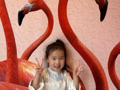 -新加坡飞禽公园