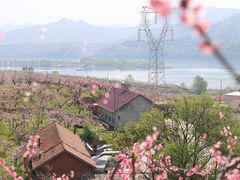 -河口景区