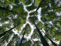 -山王坪喀斯特国家生态公园
